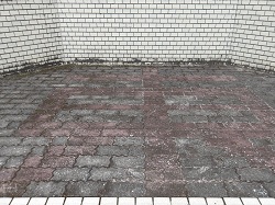 IMGP2120