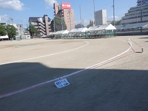 DSCF7146