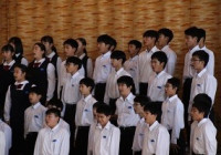 1年全男