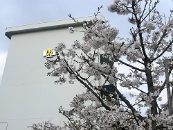 IMG_1926