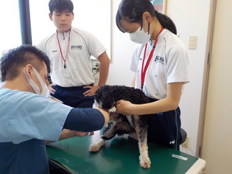 動物病院