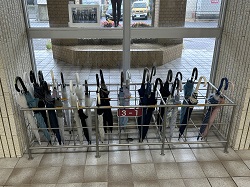 IMG_7795