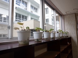 DSCF0483