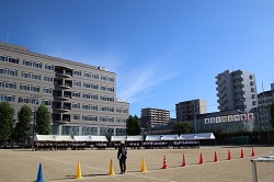 IMG_4592